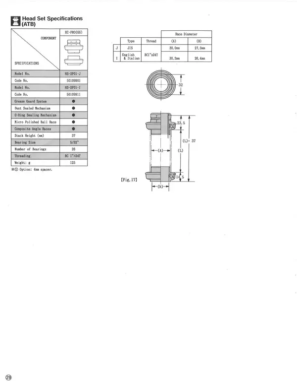 29.webp