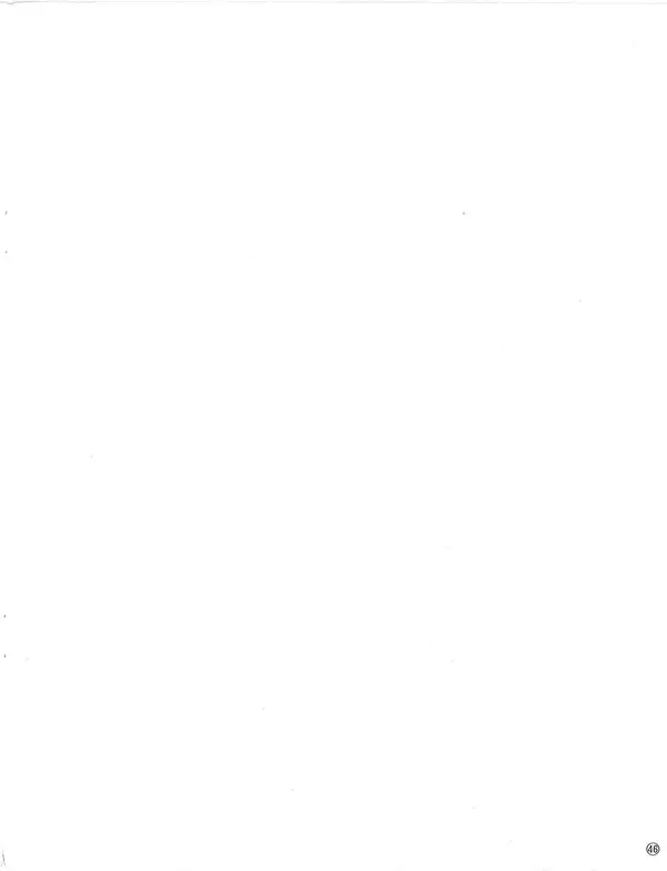 46.webp