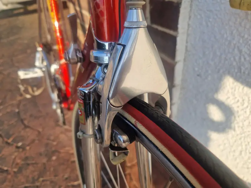 Tommasini 2.webp