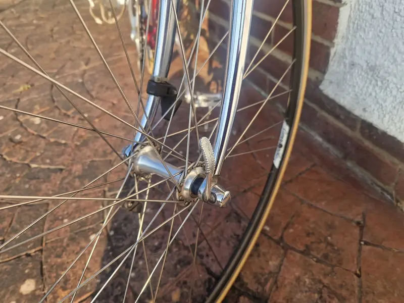 Tommasini 3.webp