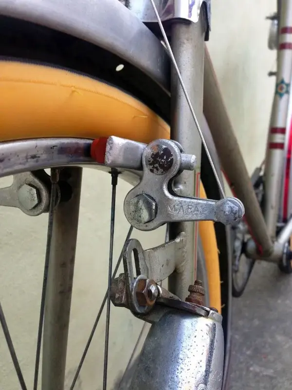 sporting rando 7.webp