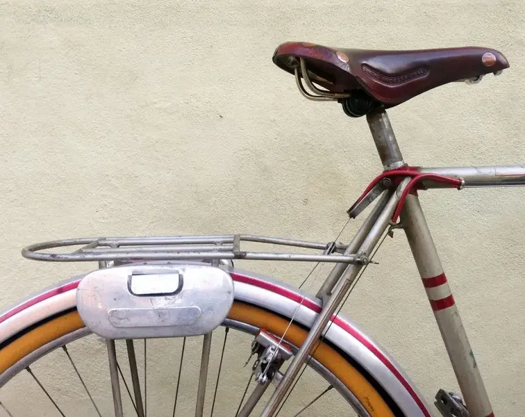 sporting rando 14.webp