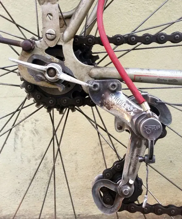 sporting rando 16.webp
