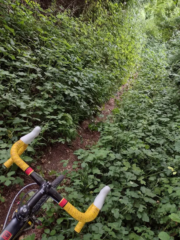 IMG_20230626_161842736_HDR.webp