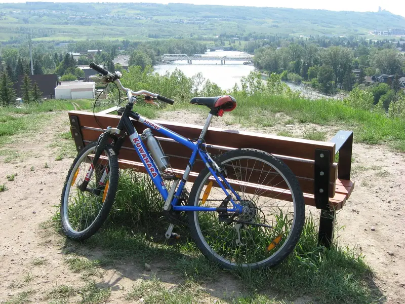 Kuwahara savage mountain 2025 bike