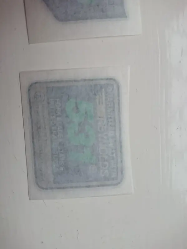 DSC_0565.webp
