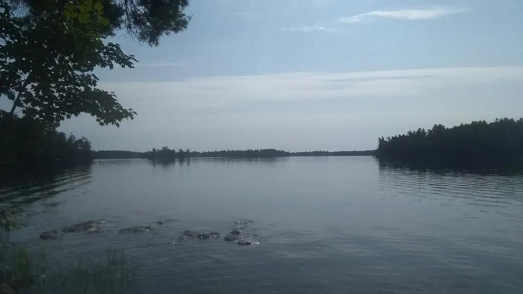 IMG_20230718_101333629.jpg