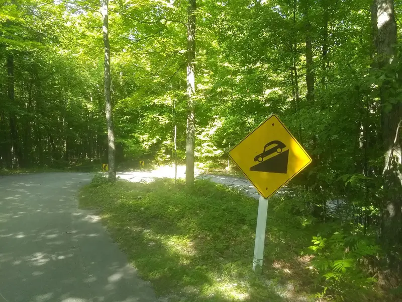IMG_20230720_100906627.jpg