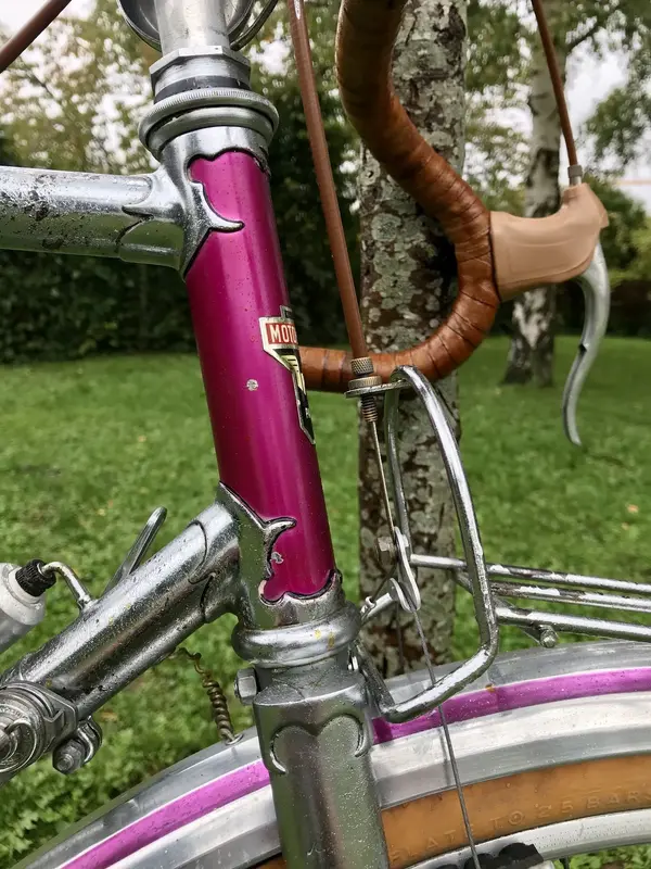 motobecanefed19657.jpeg