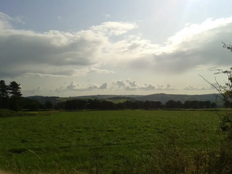 20230725_171925.jpg