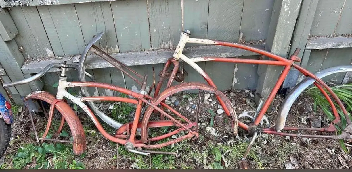 New Schwinn.webp