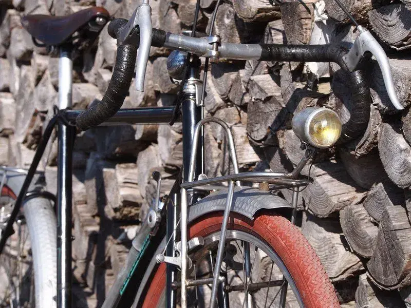 lgdujardin19.webp