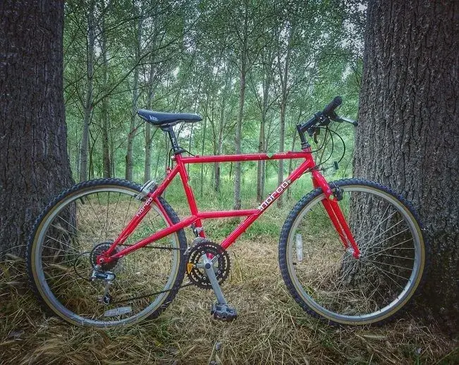 Norco.webp