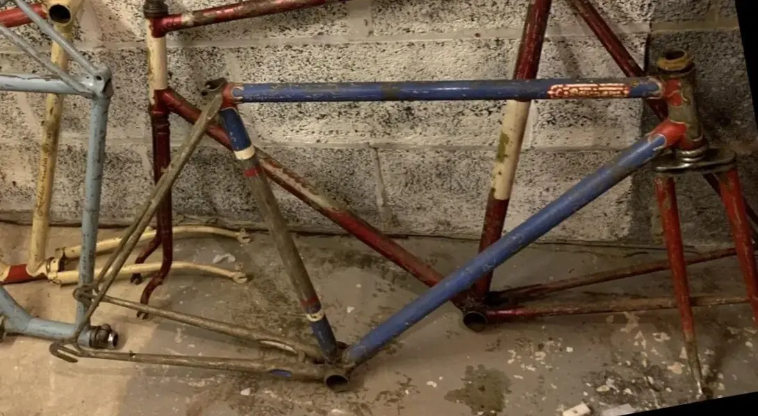 lugs9.jpg