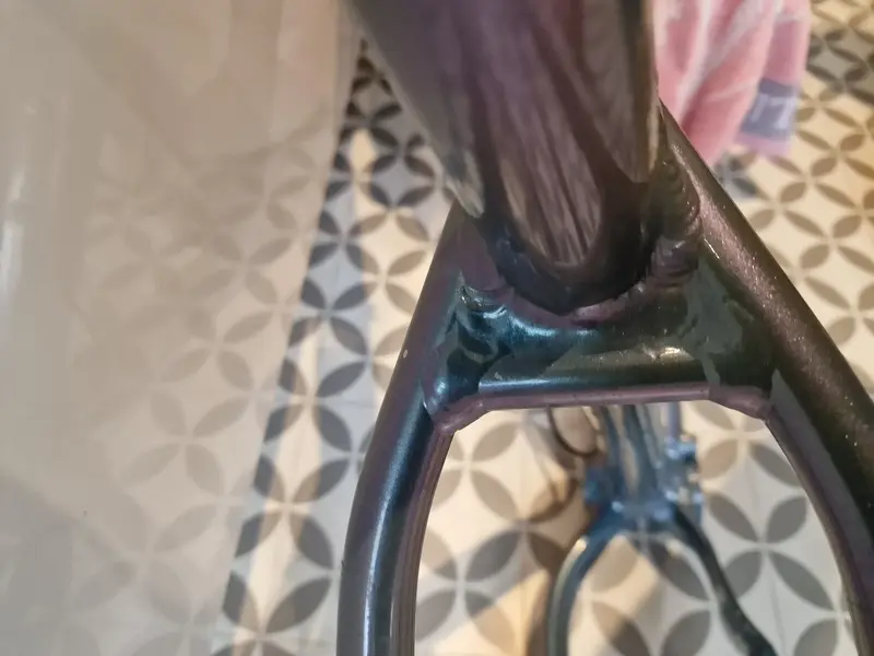 20230812_103255.jpg