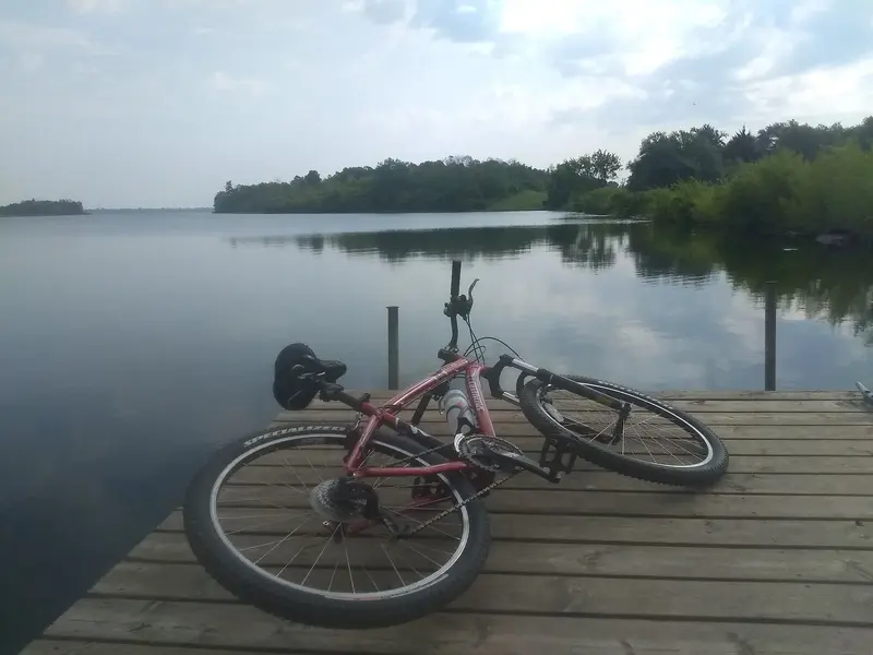 IMG_20230810_091719690.webp