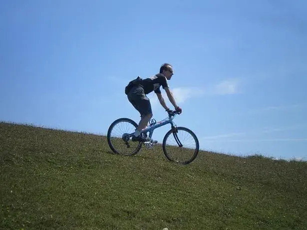 tintin.webp