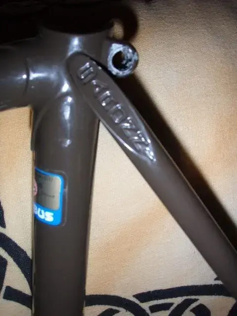 Saronni seat stay.webp