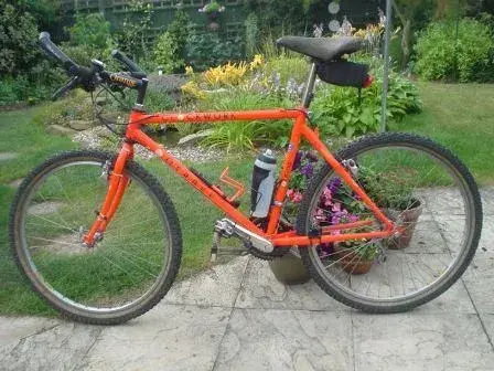 Orange 14-7 008.webp