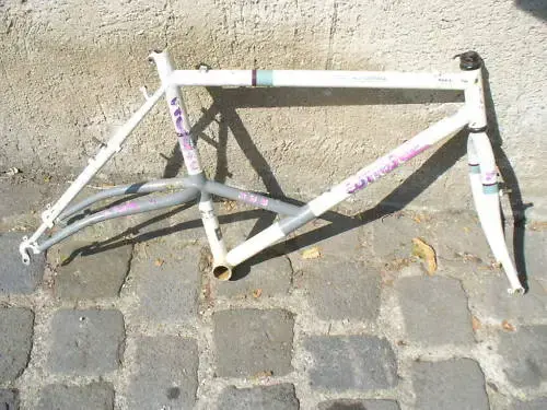 Corratec e-stay Tange Prestige.webp