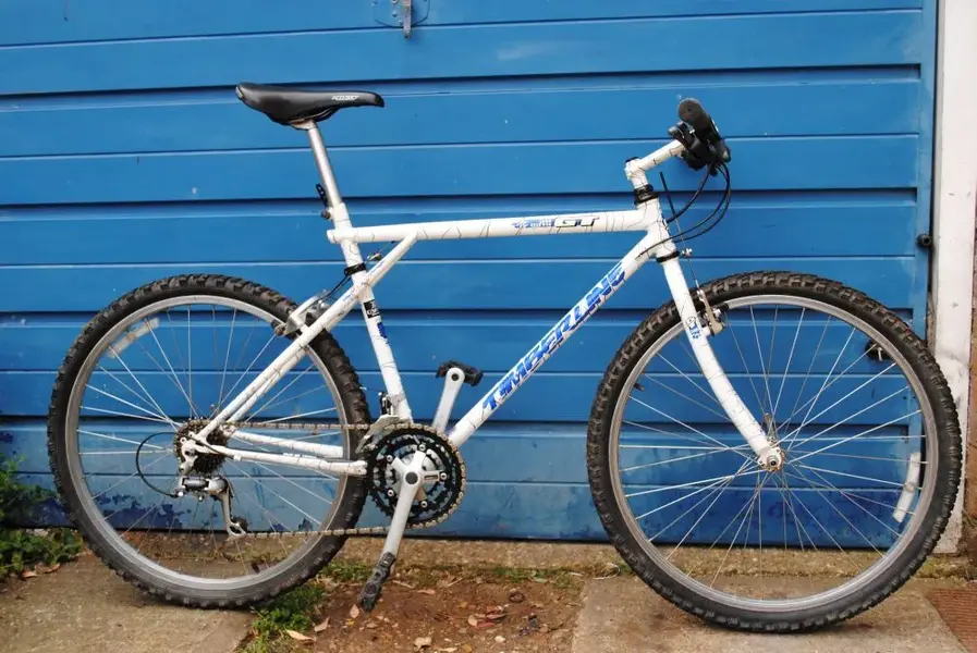 1991 GT Timberline.webp