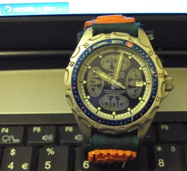DSC05564.webp