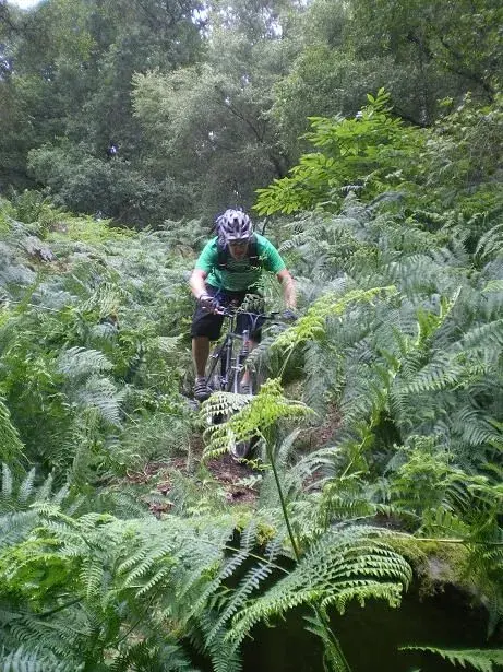 gravymonster rides the death descent.webp