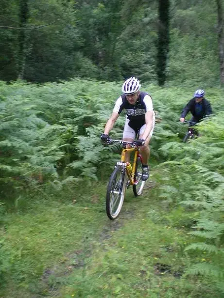 ed in full flight.webp