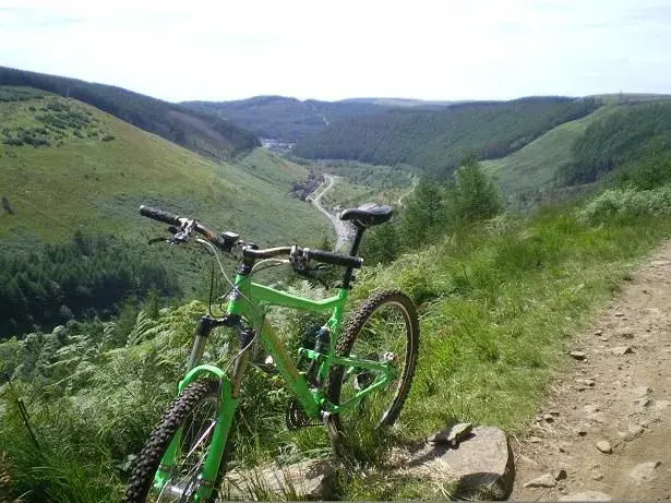 modern toss at afan forest.webp