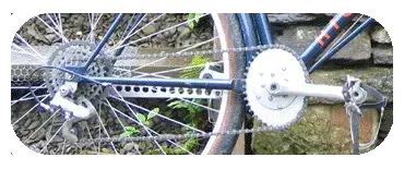 Quarter_Big_Blue.webp