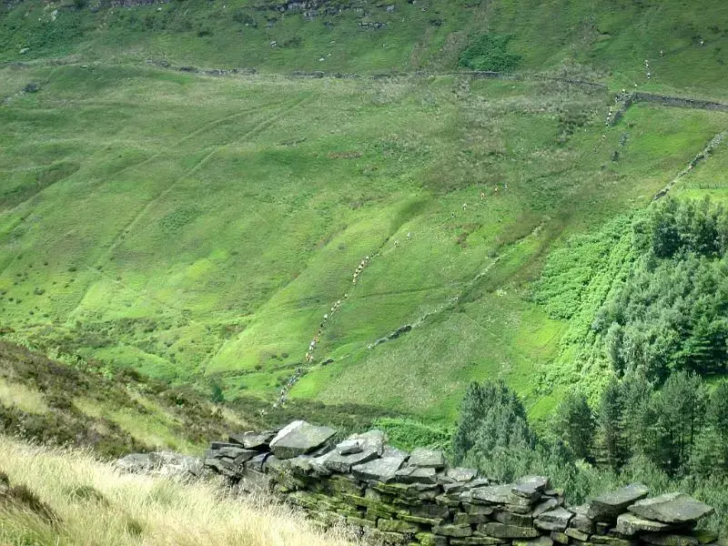 2010. Fell-Running. Holme-Moss Fell-Race. 20.webp