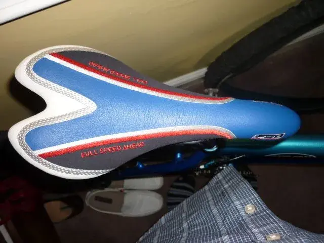 P1010101.webp
