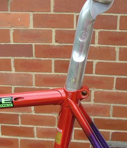 Dutch Basso.9.webp