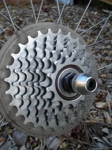 old kona bits 010 (Medium).webp