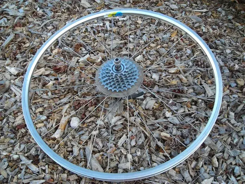 old kona bits 008 (Medium).webp