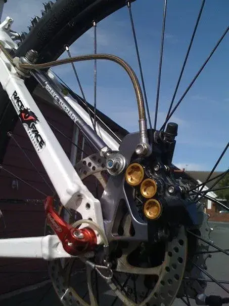 moho rear disc.webp