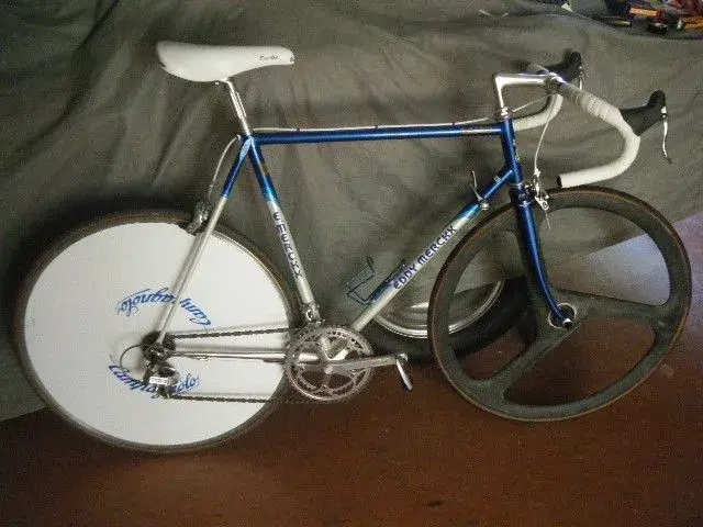 disc tri.webp