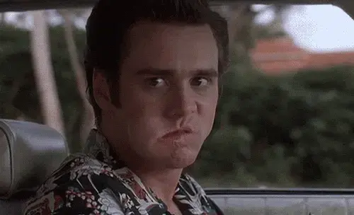 giphy-3394888147.webp