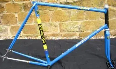 Team blue 1.webp