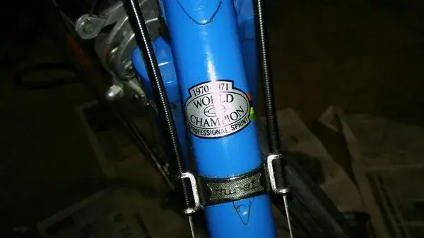 Team blue 4.webp