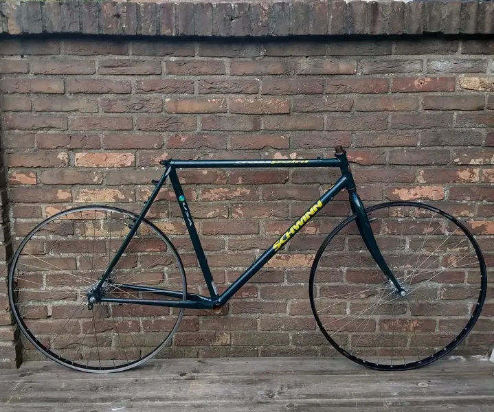 Schwinn 3.jpg