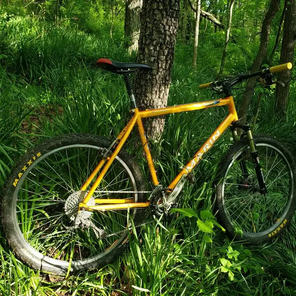 IMG_20200510_120347_937.webp