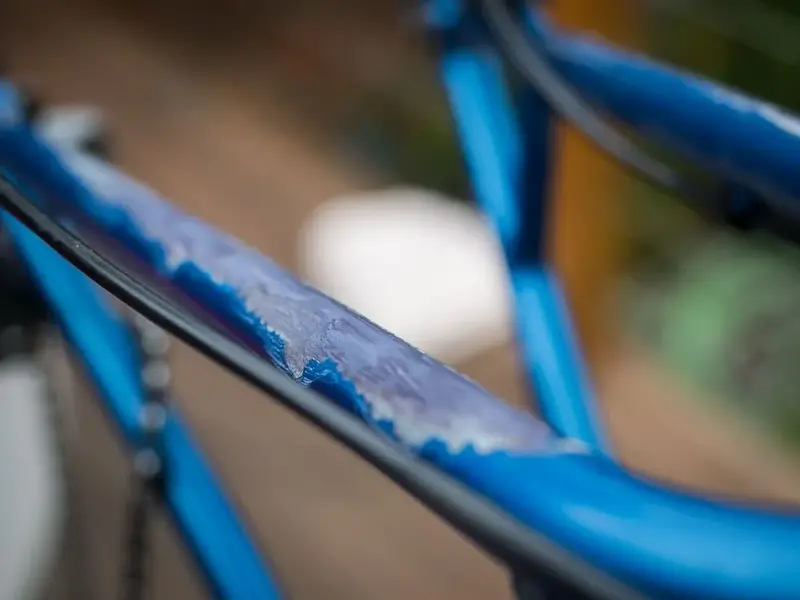 P8170214.webp