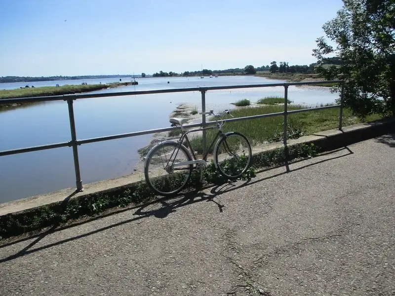 IMG_2809 - Copy.webp