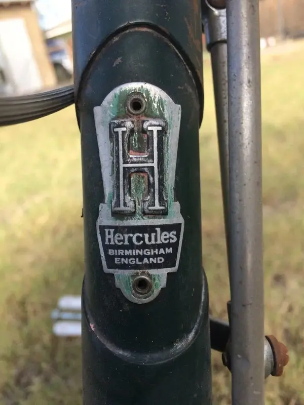 hercules-headbadge.webp