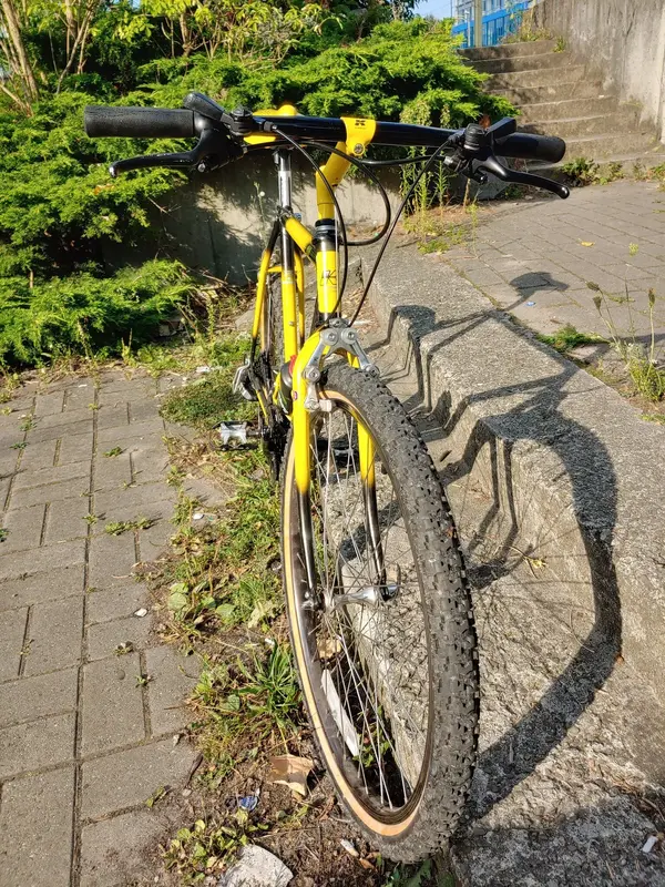 20230822_165451_HDR.webp