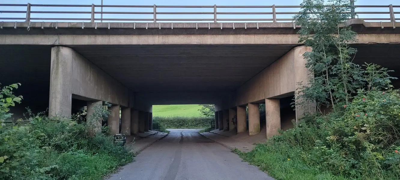 20230824_202012.jpg