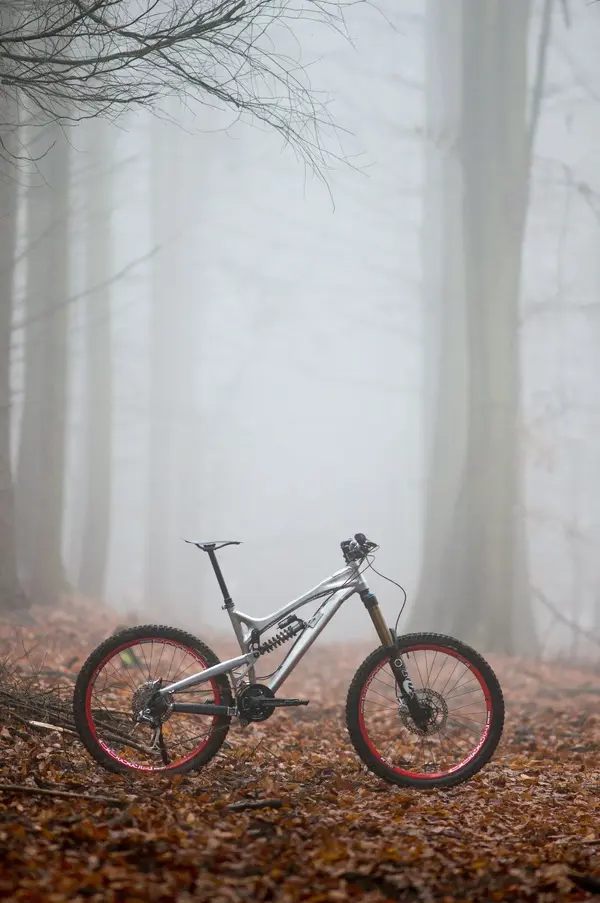 DSC00364.webp