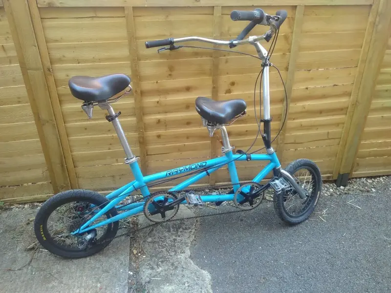 Raymond Chat Bike.webp