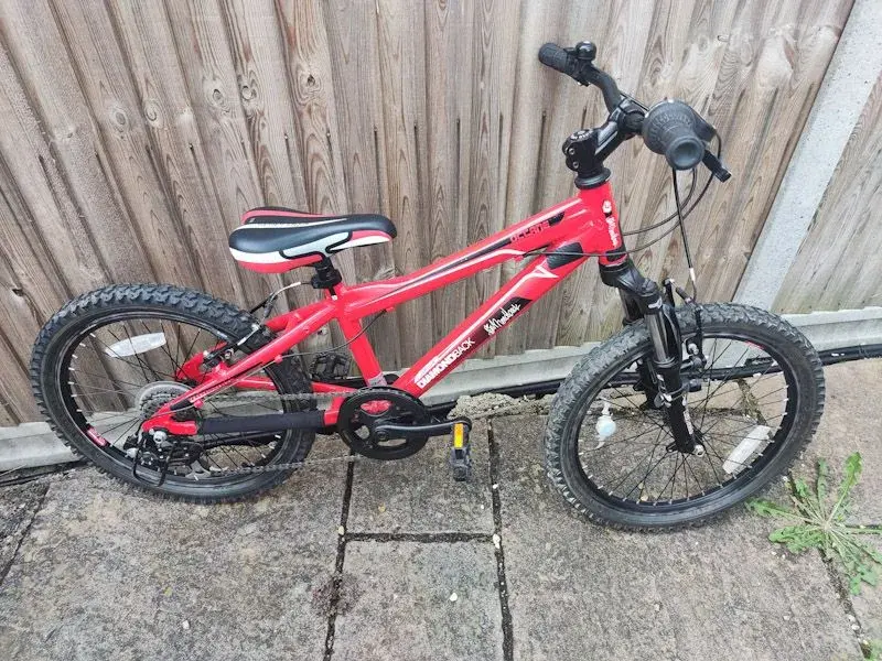 Sold Diamondback Octane 20 kids bike Retrobike